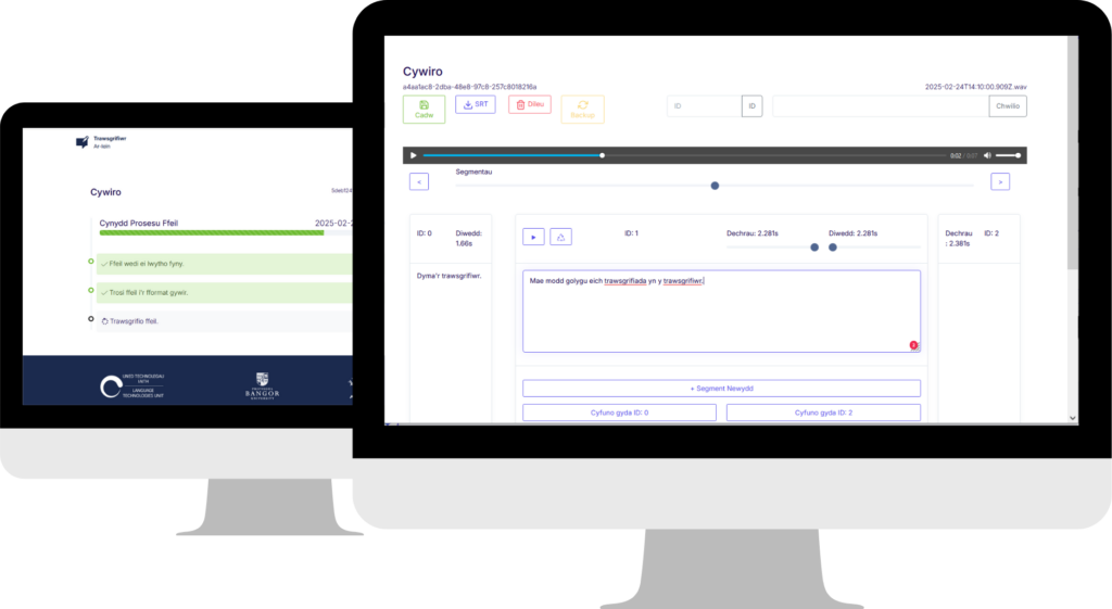 trawsgrifiwr on a computer screen